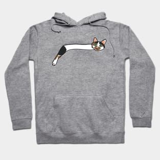 Funny Cat #5 illustration in Weirdtual Reality Hoodie